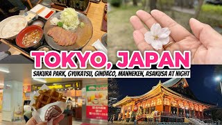 Tokyo 2023 🇯🇵🌸 | Sakura park in Akihabara, Gyukatsu-motomura, Gindaco, Manneken, Asakusa at night