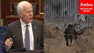 John Cornyn: Legal Immigration Is US' 'Secret Sauce' But Illegal Migration Is 'Scourge' On Nation