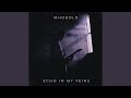 Echo In My Veins