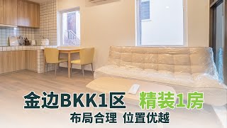 柬埔寨金边BKK1区精装1房公寓，拎包入住