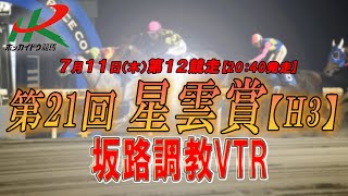 【2024坂路調教映像】7/11（木）　第12競走　星雲賞