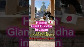 Gigant Buddha in Japan #japan #japon #lifeinjapan #buddha #japanhistory #buddhism