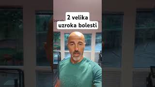 2 velika uzroka bolesti