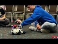 sony aibo west coast ‘24 meetup with maddie robots everywhere event clips videos moments