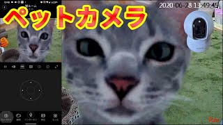 【爆安！】3000円以下！ペットカメラ　防犯カメラにも使える　コスパ最強　Pet camera