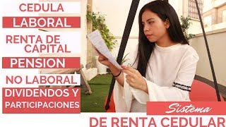 #sistemaderentacedular 5 CEDULAS  SISTEMA DE RENTA  CEDULAR | FORMULARIO 210