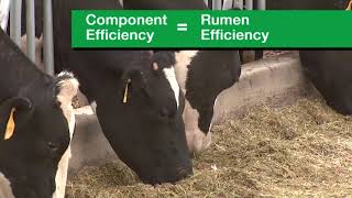 Cargill - Manage Component Efficiency