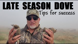 LATE SEASON DOVE HUNTING