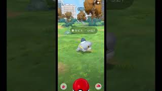 大発見リワード (2025/1/11)【ポケモンGO】