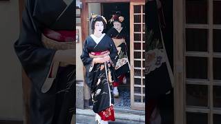 黒紋付きの美女が続々と出てくる #芸妓#舞妓#京都