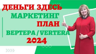 Маркетинговый план Вертера / Vertera 2024 год