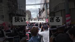 岸和田だんじり祭　お見事です