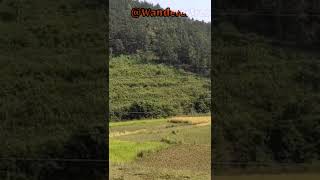 Araku valley // January // Winter Season // WondererSree