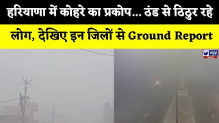 Weather News: Haryana में कोहरे का प्रकोप... ठंड से ठिठुर रहे लोग, देखिए इन जिलों से Ground Report |