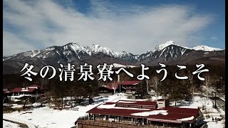 冬の清泉寮へようこそ　～冬の贅沢な時間