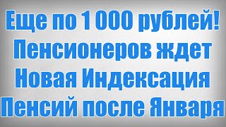 Еще по 1 000 рублей! Пенсионеров ждет Новая Индексация Пенсий после Января!