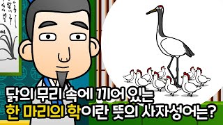 계군일학 鷄群一鶴 | 만화 사자성어 | 재미있는 고사성어 | 닭의 무리 속에 끼어 있는 한 마리의 학 | 깨비한자