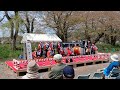 角館の桜祭り おいとこ 道中囃子🏮🏮🏮🏮