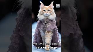 The Smartest cats are also The most Dramatic🐱#Best cat video