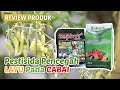 Rekomendasi 2 Pestisida untuk Mengatasi Layu Fusarium dan Layu Bakteri Pada Tanaman Cabai