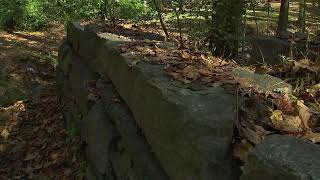 North Raleigh land owner believes mysterious structure behind home is part of an old dam