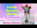 Santo rosario corto 🌹 Misterios de Dolorosos 🙏 Martes y Viernes 🙏