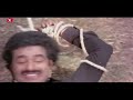 balakrishna superhit movie interesting action scene telugu videos