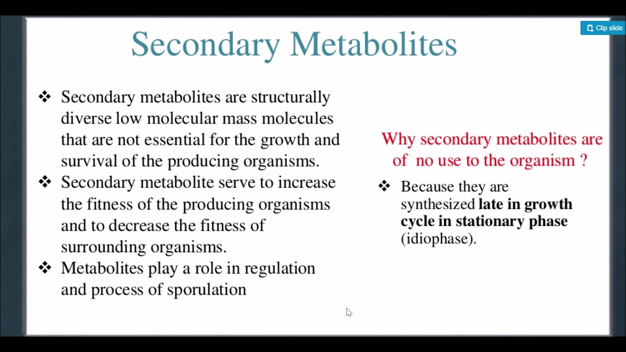 Primary And Secondary Metabolites 7° - YouTube