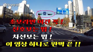 [깡초보운전]  초보운전자 필수/ 신호등/ 차로구별 / 가변신호등 / 버스전용차로 / 점멸등 / 동시신호 / 직우차선/ 편도 / 왕복
