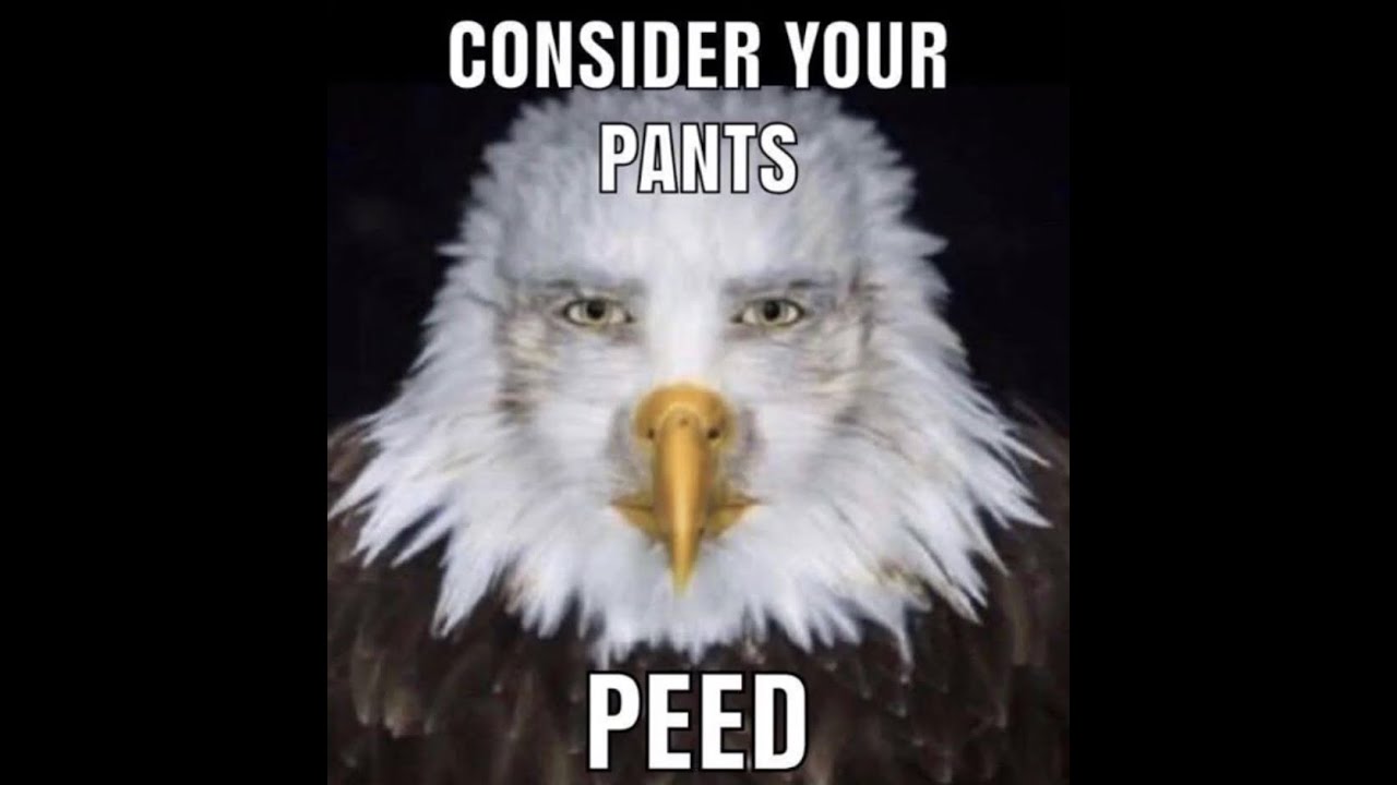 Ibispaint Watermark Youtube