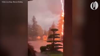 Lightning strikes tree in Gresham