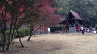 どこでも出張ＢＢＱ満福広島➡みくまり峡森林公園（広島県安芸郡府中町）