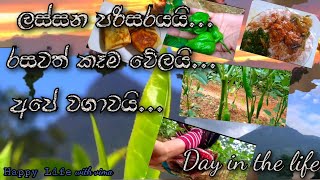 Day in the life||ලස්සන පරිසරයක, අපේ වගාවත් බලලා., රසවත් කෑම වේලක් රසවිදිමුද🥰||