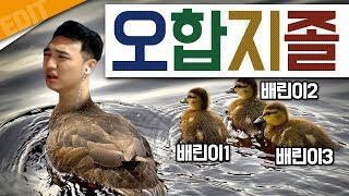 [배틀그라운드] 최강 배린이 만나서 고생하는 성태 ㅋㅋ 개꿀잼!!