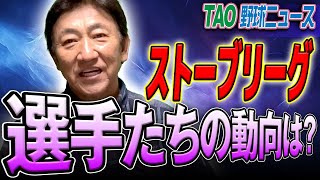 田中将大、石川柊太、マルティネスetc.【12/02】