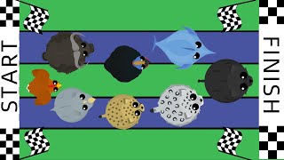 Mope.io RACE - Which Is The Fastest Animal In Mope.io? 10 Fastest Animals In Mope!!