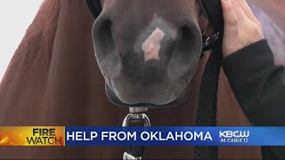 OKC Horse Community Sets Up GoFundMe For Trainer Who Lost Barn In Camp Fire