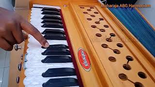 Professional Concert Kirtan Raagi Harmonium | Exquisite Sound Harmonium