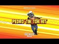 raffaella carrà pedro tik tok hit kriz van dee remix