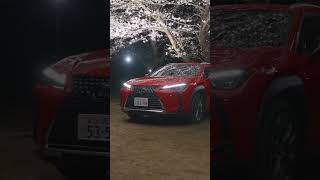 Lexus sakura movie #shorts