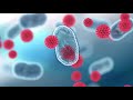 chapter 3 mrna vaccines and monoclonal antibody therapy explained