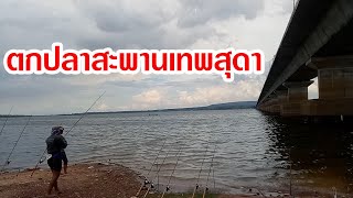 ตกปลาสะพานเทพสุดา