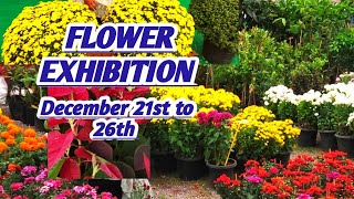 Flower Exhibition in Vijayawada 2024| AP Flower Show 2024@BMRPkidsrocks