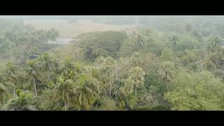 Baniban || Birth place of every dream || drone clip