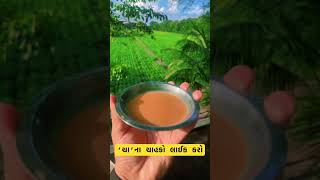 કાઠિયાવાડિ કસુંબો,ચા વગર ચાલે નઈ #trending #chai #viralvideo #chailover #kathiyawadi #gujarat #akg89