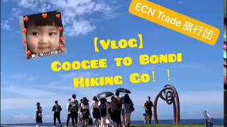 悉尼 Top5 Hiking徒步路线！！抓住夏天的尾巴！！美鸭！Go