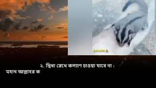 আল্লাহর প্রকৃত মুমিন বান্দা হতে চাইলে যে 12 টি কথা পরিহার করতে হবে।