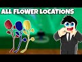 All Flower Locations in Blox Fruits!