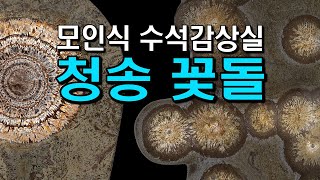 [수석의미tv].모인식 청송꽃돌감상.수석전시회 소식.수석 (水石. 壽石.奇石.suseok.stone).            곽창근(010-5446-4832)