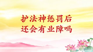 卢台长【护法神惩罚后还会有业障吗 】20160706 香港世界佛友见面会 共修组提问